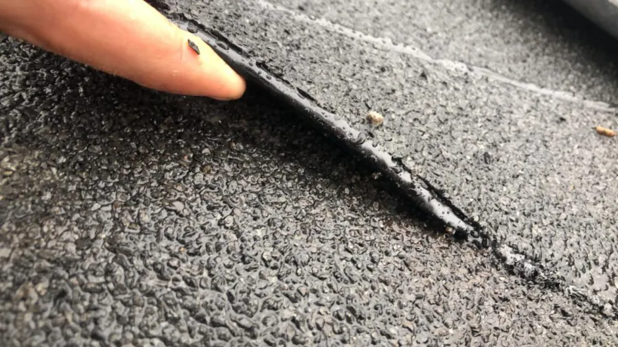 Dakinspectie en reparatie in Den Bosch